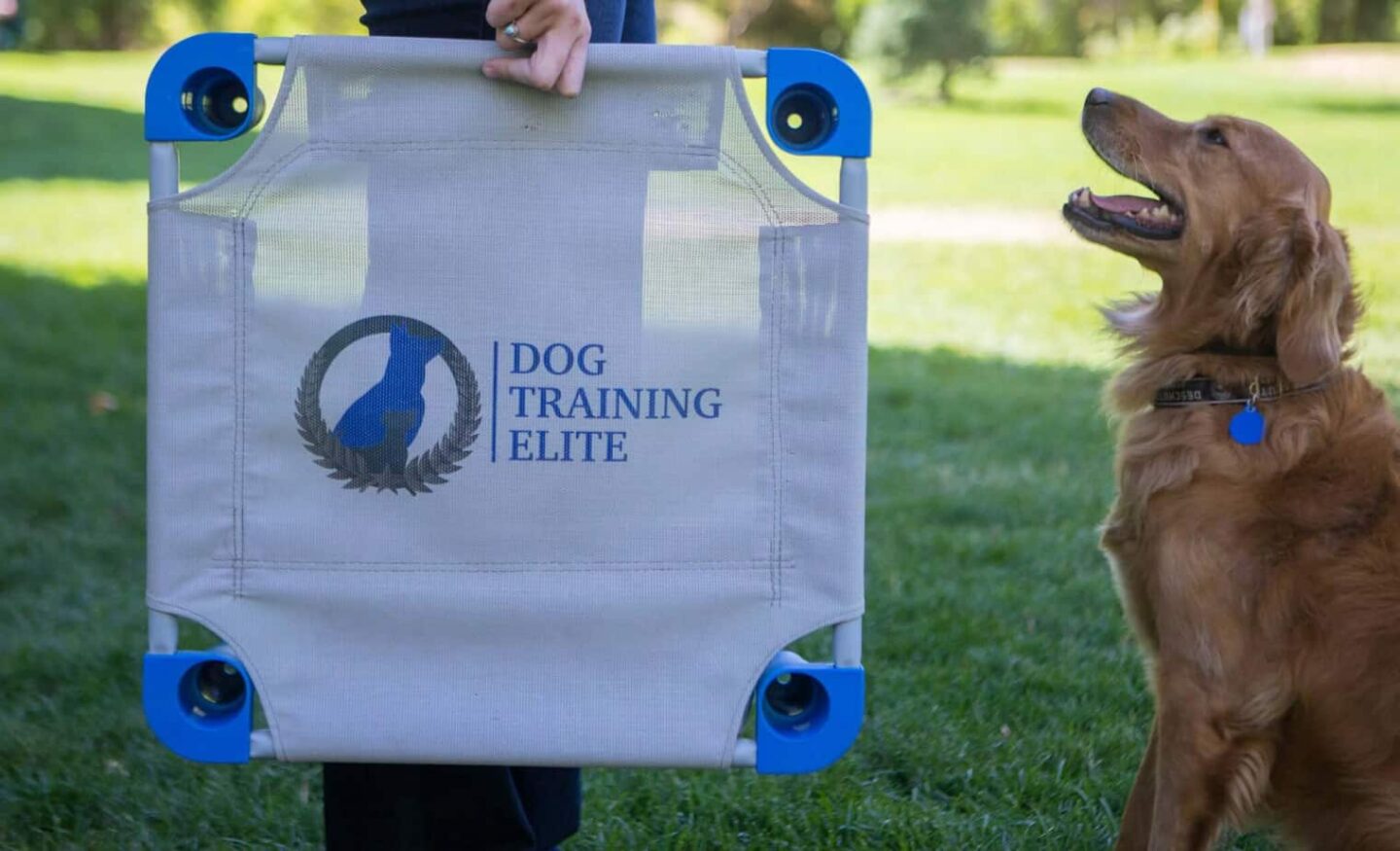 Dog Training Elite franchise
